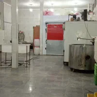 ماست چکیده و تازه مخصوص مواکب اربعین با قیمت هیئتی