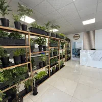 جذب اکیپ بازسازی واحد در شرق