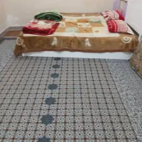 سویت-مبله-عسلویه-نخل-تقی