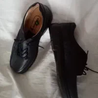 کیف وکفش
