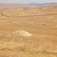 فروش کاه