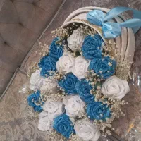 باکس نینی