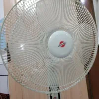 پنکه|پنکه و تصفیه‌کنندهٔ هوا|زابل, |دیوار