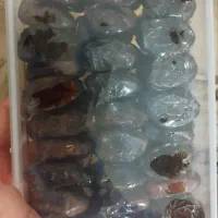 پخش خرمای کبکاب اعلاصادراتی