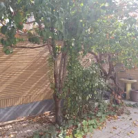 350متر-خیابان-خیام-با-پروانه-4روی-پیلوت-پل-مارنان