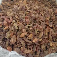 کشمش سایه خشک