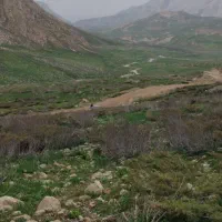 فروش خط همراه اول رند