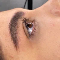 خدمات میکروبلیدینگ