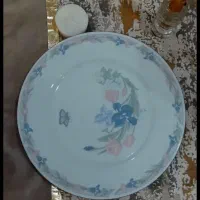 بشقاب پلو خوری ۱۲عدد