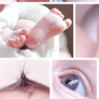 نیازمندرحم اجاره