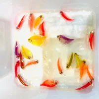 ماهی کالرویدو