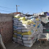 کود کبوتر کفتری