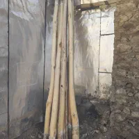 چوب تمیز سقفی