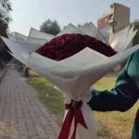 گل روبانی جاودان و آموزش