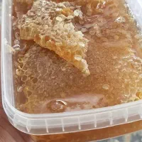 عسل طبیعی درجه یک اصل به شرت