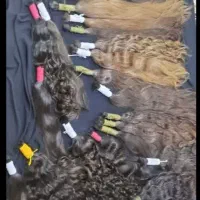 کات مــ.ــو هـ.ـای خام و رنگی با مبلغ بالا