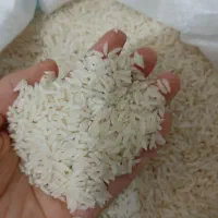 برنج هاشمی آستانه