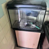 اکواریوم با پک کامل همراه میز کمدار