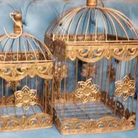 دوعدد قفس طلایی