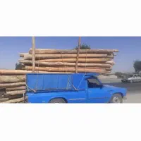 انواع چوب خریدارم