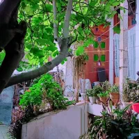 فروش ویلا
