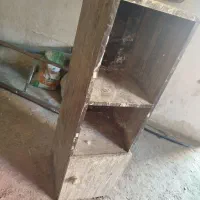 کفتر‌‌|لوازم جانبی حیوانات|خواف, |دیوار