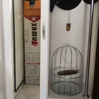 جاکفشی