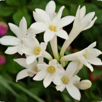 وکیل پایه یک دادگستری عضو کانون وکلا