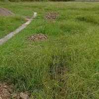 فروش زمین مسکونی ۳۰۰متری نیاکو آستانه