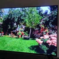 تلویزیون هوشمنده  ۵۵ اسنوا نو