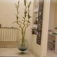 45متر/تک خواب/خوش نقشه