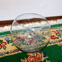 دوعدد تنگ ماهی