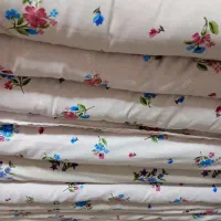 تشک پشمی
