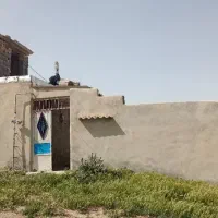 دامداری-و-زمین-کشاورزی