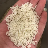 برنج هاشمی سورتینگ شده