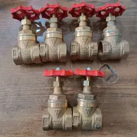 شیر گیت(دروازه ای ) برنجی