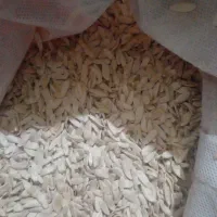 بذر خیار چنبر