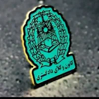 وکیل دادگستری