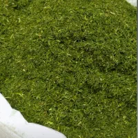 شوید خشک