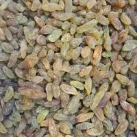 کشمش|خوردنی و آشامیدنی|تبریز, |دیوار