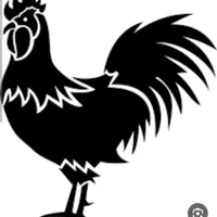 خروس مشکی و سفیدجهت قربانی