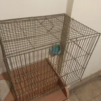 قفس پرنده