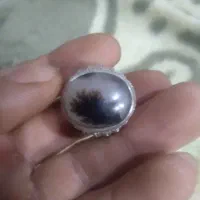 انگشتر|جواهرات|نهاوند, |دیوار