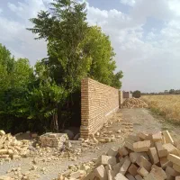 باغچه|فروش دفتر صنعتی، کشاورزی، تجاری|تهران, درختی|دیوار