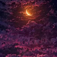 مفقودی شارژ کن
