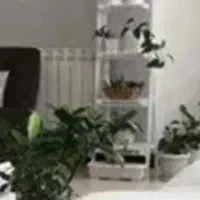 استخدام نظافتچی خانم