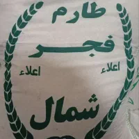 برنج فجر  و هاشمی