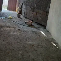 انبار