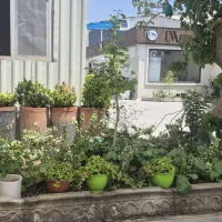 نگهبانی شبانه روزی