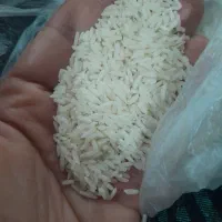 برنج هاشمی
